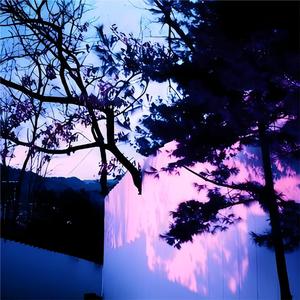 大雷擦狙狙网站免费
